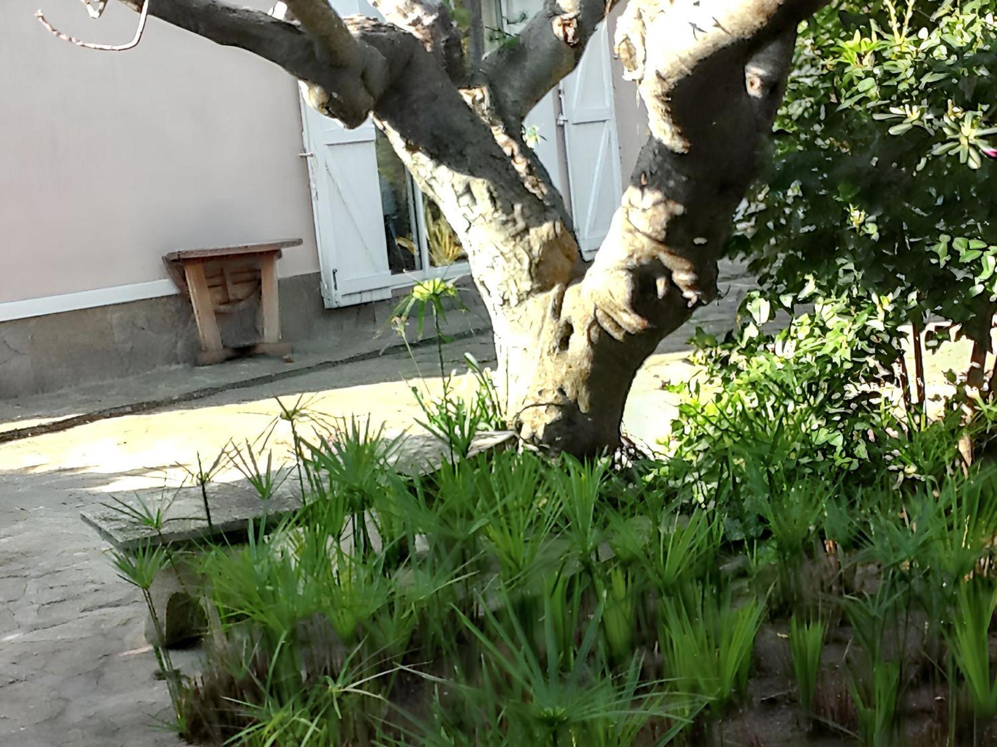 De 2 A A 400 M De La Avec Jardin Amenage Et Wifi *
